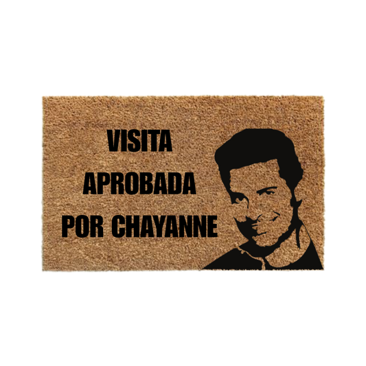 Visita aprobada por Chayanne-thedoormat.cl